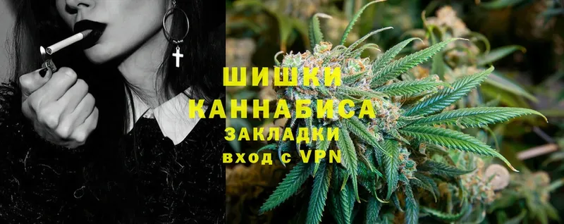 Бошки марихуана THC 21%  закладка  Балтийск 